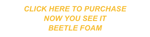 CLICK HERE TO PURCHASE
NOW YOU SEE IT
BEETLE FOAM